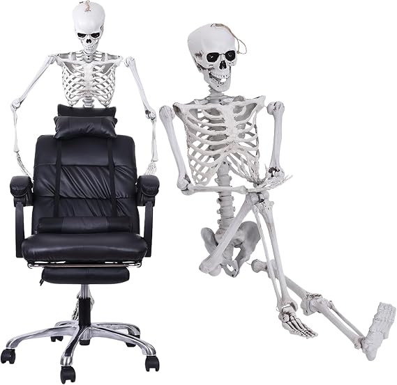 5.4 Ft Halloween Life Size Skeleton, Full Body Plastic Skeleton with Movable Joint, Human Bones for Halloween Party Haunted House Graveyard Props Indoor Outdoor Decoration (Non-Lighted)