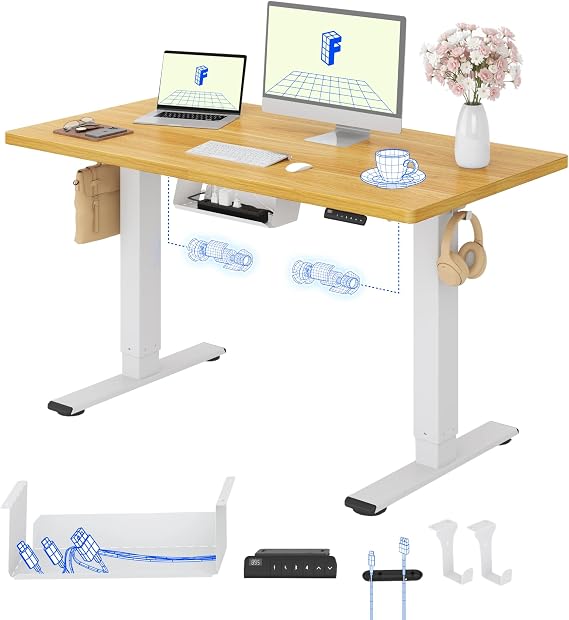 FLEXISPOT Höhenverstellbarer Schreibtisch elektrisch Doppelmotor 120x80 cm