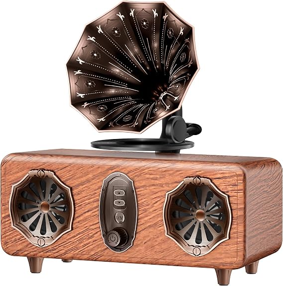 FREEFISH Retro Bluetooth Speaker Vintage Radio with 5.4 Bluetooth Version, FM Radio, Bass Vintage Wireless Speaker Support USB/TF/AUX Player for Home Office Room Bedroom