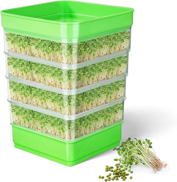 Microgreens Growing Kit Seed Sprouter Kit Stackable Seedling Tray Four Tier Sprouts Beans Broccoli Sprout Alfalfa Seeds Wheat Grass