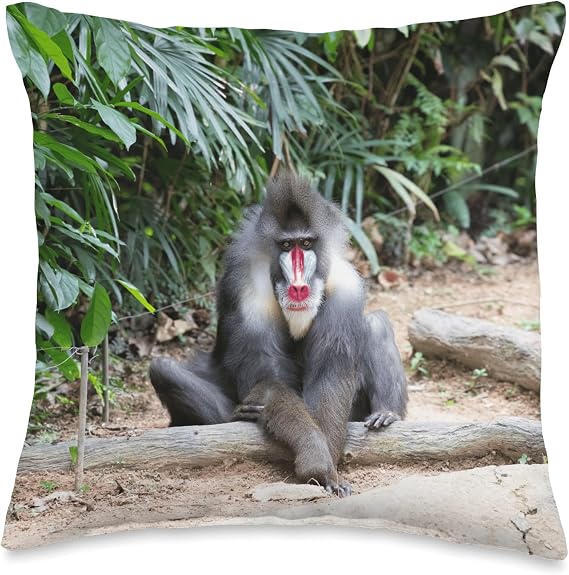 Mandrill Throw Pillow