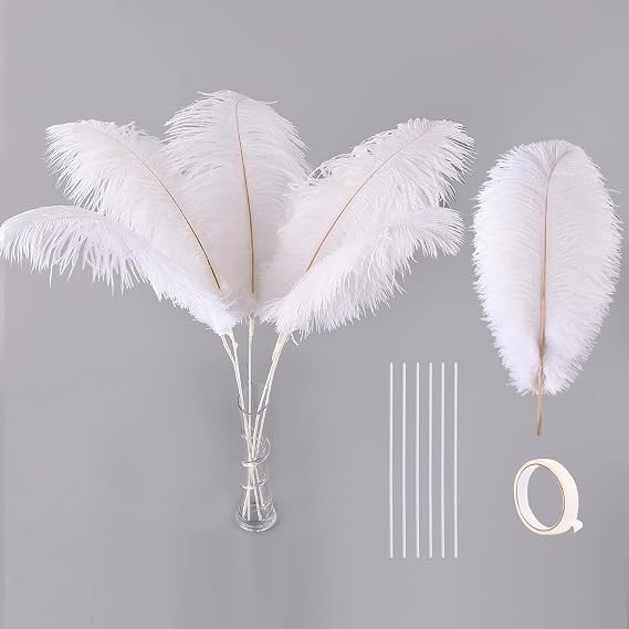 Ballinger White Large Ostrich Feathers Bulk,10Pcs 28inch Feather Making Kit