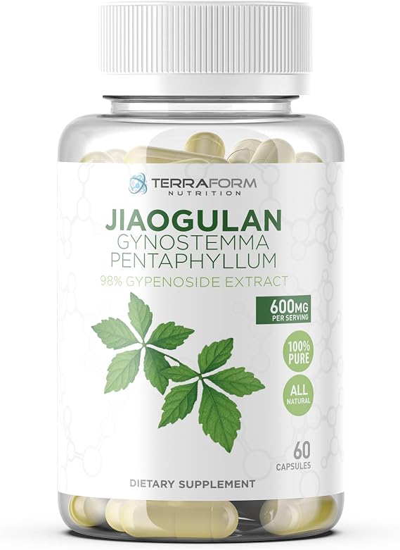 TerraForm Nutrition Gynostemma Pentaphyllum Supplement - 600mg per Capsule - 98% Gypenoside Extract - Jiaogulan - 60 Capsules - Adaptogenic Herbal Supplement
