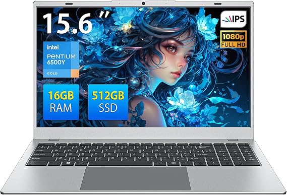15.6" FHD Laptop Computer 16GB RAM 512GB SSD Pentium 6500Y (Silver)