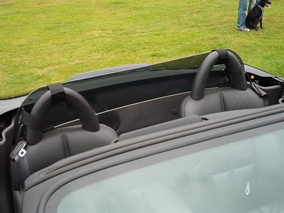 #1 Ranked Wind Deflector Windscreen Windstop Windblocker, Smoke Tint, Compatible with Chyrsler Prowler