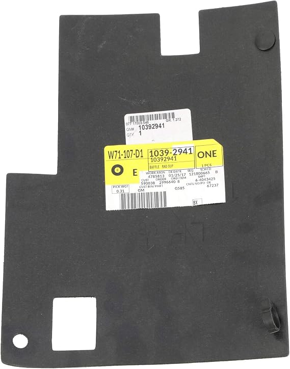 Genuine GM Parts - Baffle (10392941)