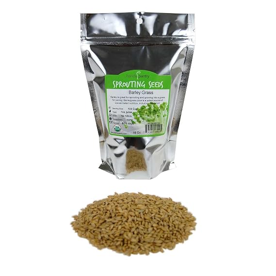Handy Pantry Organic Barley Seeds 1 Lb Whole (Hull Intact) Barleygrass Seed
