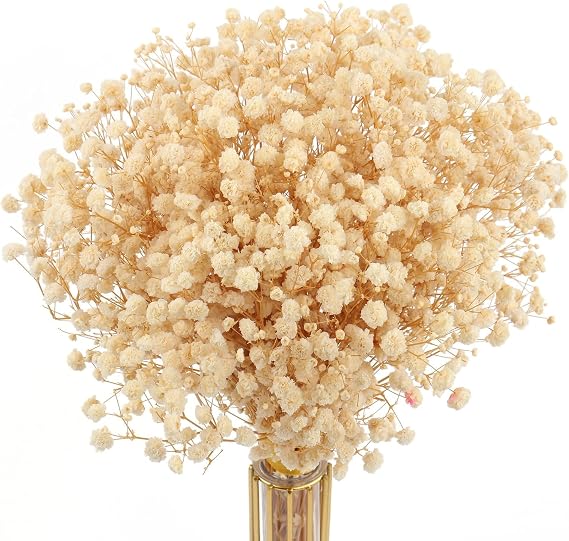 Dried Flowers Bundles,Ilos 100% Natural White Babys Breath Bundles Gypsophila for Wedding DIY Arrangements Home Decorations Million Star