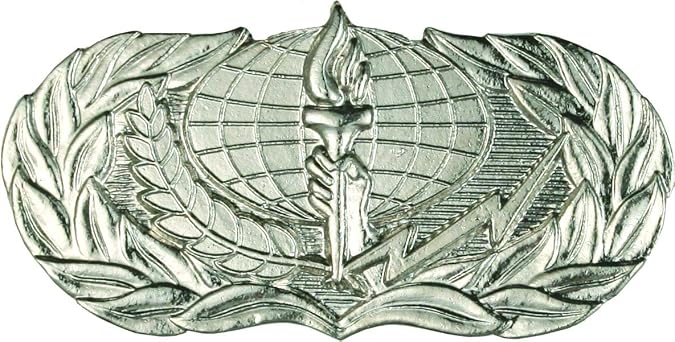 Air Force No Shine Basic Services Badge