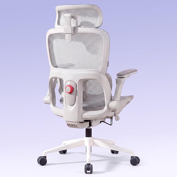 SIHOO B300 Pro Ergonomic Office Chair with 4D Adjustable Lumbar Support