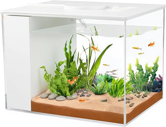 Betta Aquarium 1 Gallon Self Cleaning Small Fish Tank Starter Kit