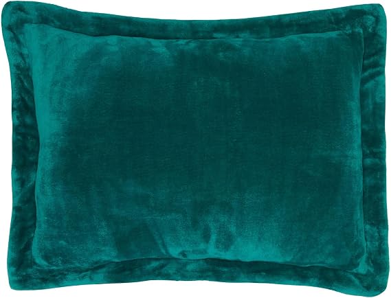 BrylaneHome Bh Studio Microfleece Sham