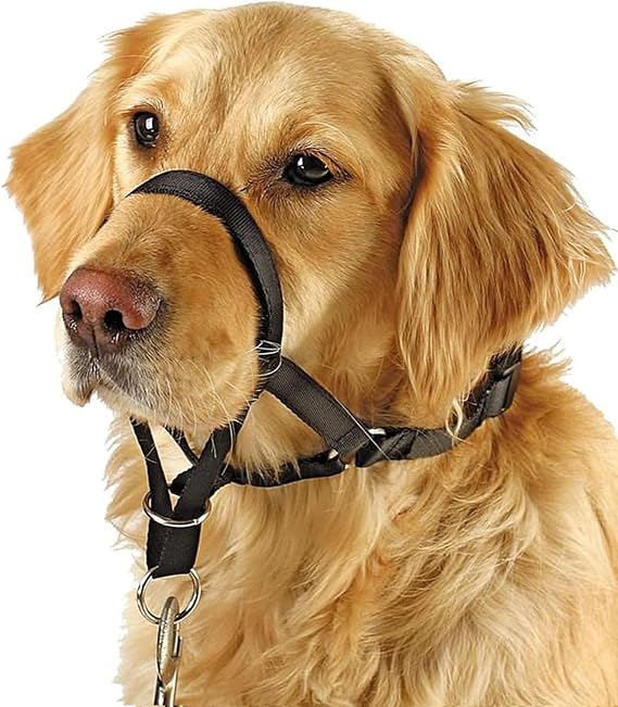 BARKLESS Soft Dog Head Collar Training Tool for Dogs on Walks, Black, M