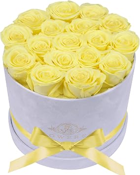 Prifroti 17 Flowers in a Luxury Suede Box, Birthday Gifts for Women, Preserved Flowers, Mothers Day Roses Gift for Mom, Yellow