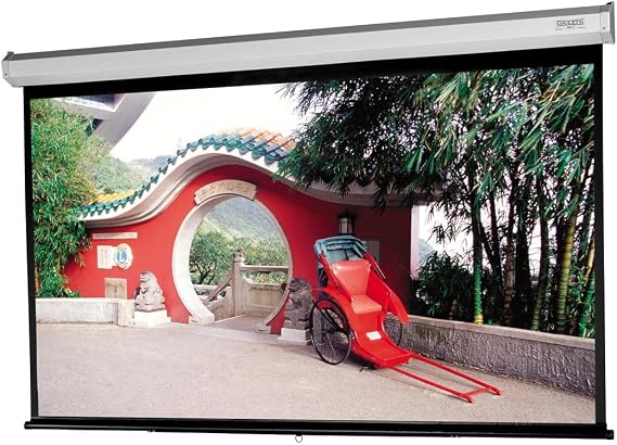 Da-Lite Model B with CSR,109D 57.5X92 Mw