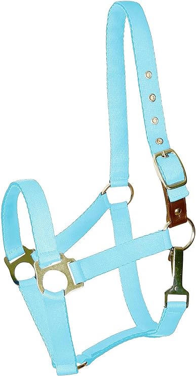 Gatsby Nylon Safety Breakaway Halter Weanling Blue