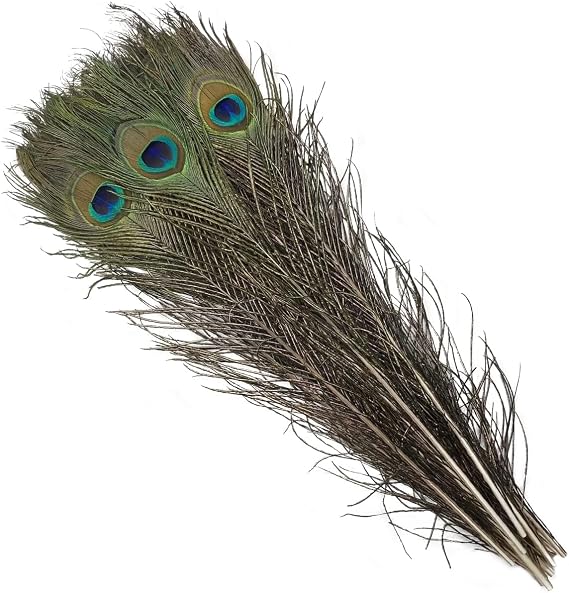 Natural Peacock Feathers 16-18Inch for Home Decor Flower Arrangement Centerpieces Vases Decorations Costumes Hats Crafts Christmas Tree Ornament (10pcs - Upgrade)
