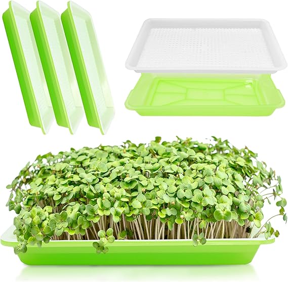 3 Pack Microgreens Growing Kit