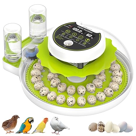 40 Quail Egg Incubator with Automatic Egg Turning Humidity Control Eggs