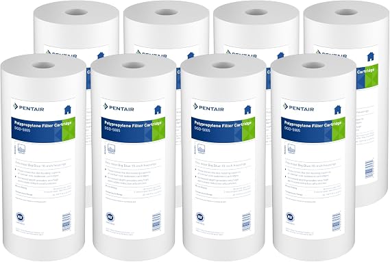 Pentair Pentek DGD-5005 Big Blue Whole House Sediment Filter