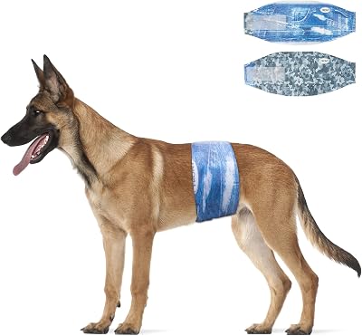 Dono Dog Diapers Male Disposable Male Dog Wraps, Wider Doggie Puppy Diapers, Male Belly Bands, Super Absorbent, Leak-Proof Fit, Excitable Urination, Incontinence, Large 24ct