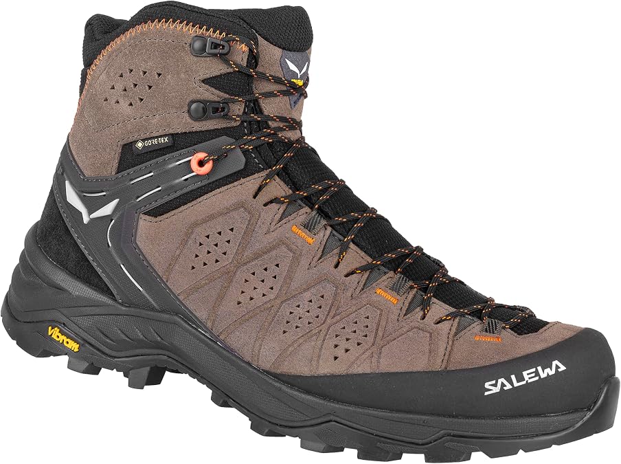 Salewa Alp Trainer 2