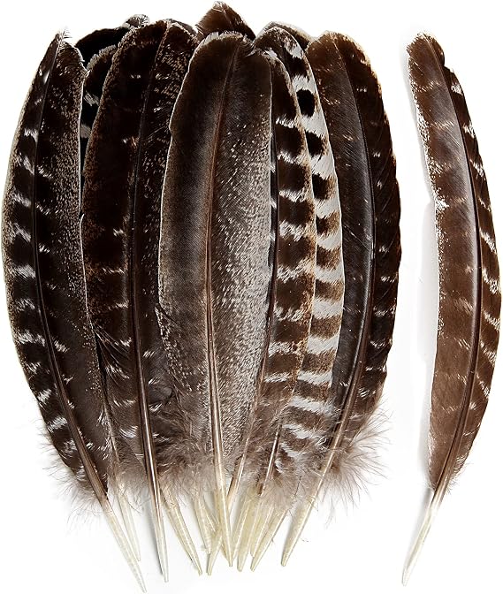 24pcs Natural Wild Turkey Tails Feathers Quill Bulk 8-10inch 20-25cm for DIY Crafts Project Collection Wedding Decoration Wild Turkey Tails