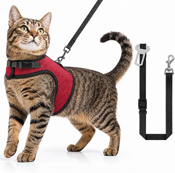 Kaçış Önleyici Kedi Gezdirme Tasması Ve Küçük Irk Köpek Gezdirme Tasması Kedi Göğüs Tasması Seti (Small)