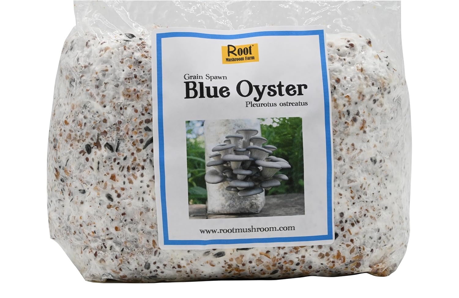 Root Mushroom Farm-Blue Oyster Grain SpawnNOT A GROW KIT