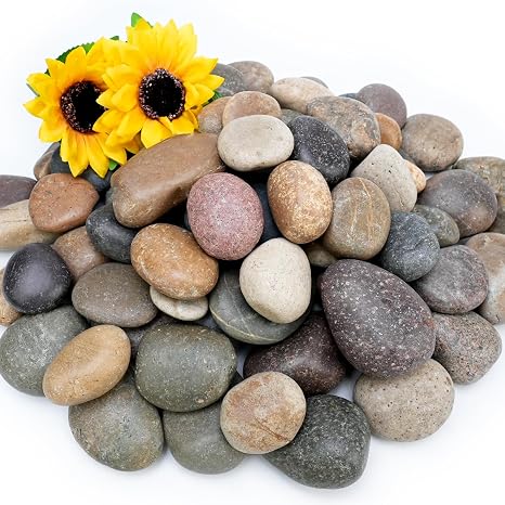 NUPICK 12lb Mexican Beach Pebbles, 2-3" Large River Rocks for Landscaping