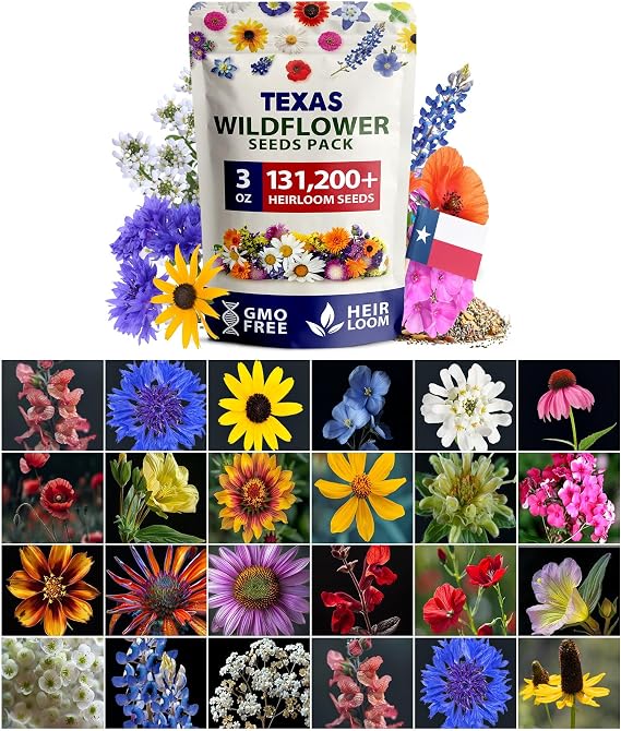 HOME GROWN Texas Wildflower Mix 131,200+ Flower Seeds 3 oz