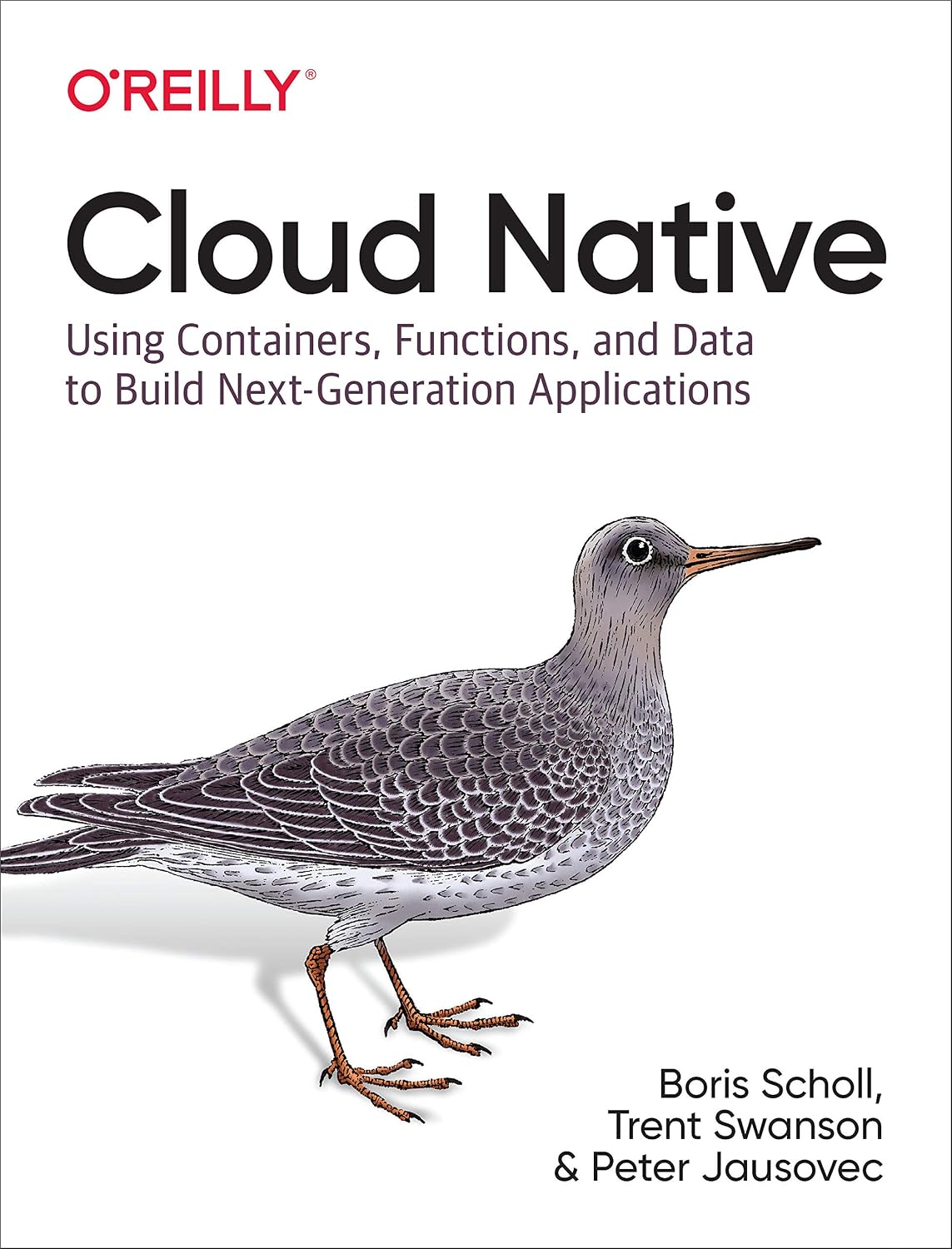 Cloud Native: Using Containers, Functions, and Data to Build Next-Generation Applications 1st Edition