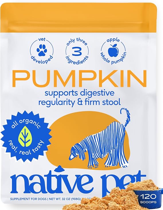 Native Pet Pumpkin for Dogs - Organic Dog Food Topper Powder - Promotes Firm Stools, Supports Digestive, Bowel Health & Nutrient Absorption - USDA Organic, Rich in Fiber with Real Pumpkin - 120 Scoops