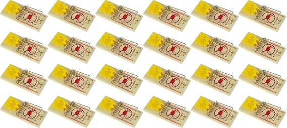 Snap Mouse Traps with Spring Action and Expanded Cheese-Shaped Trigger, 24-Pack Powerful Rodent Control Traps for Home & Commercial Use