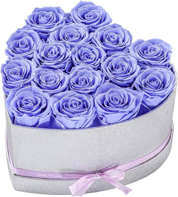 16 Preserved Roses in Box,Forever Flowers for Delivery Prime, Birthday Gifts for Women Her Mom Wife Girlfriend Grandma on Anniversary Valentines Day Mother's Day Christmas (Purple)