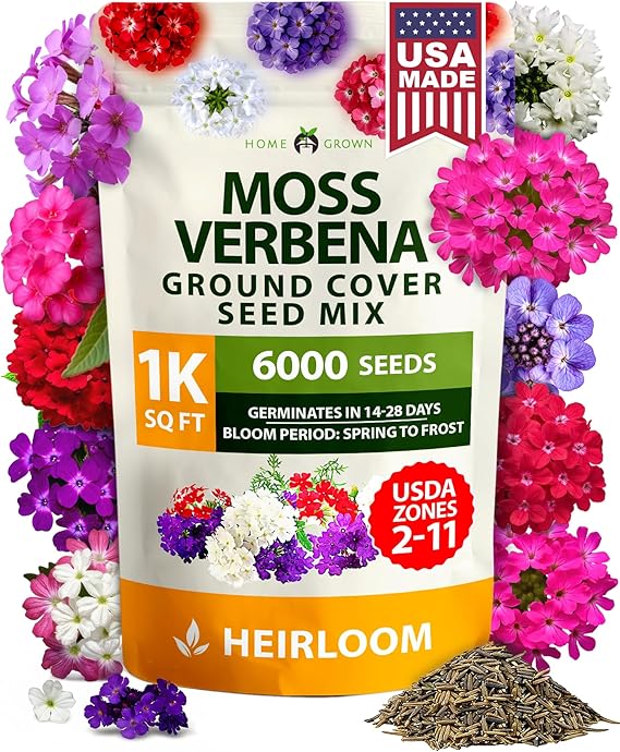 HOME GROWN Verbena Moss Seeds, 6,000+ Seeds, Verbena tenuisecta