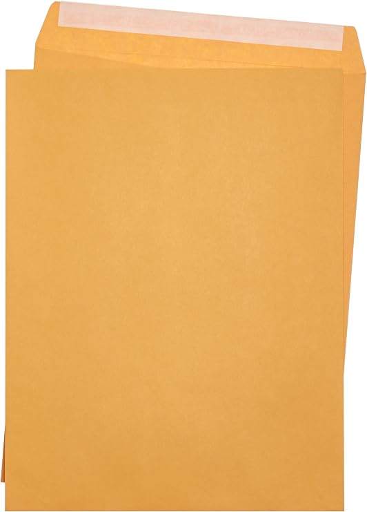 Amazon Basics Catalog Mailing Envelopes, Peel & Seal, Brown Kraft