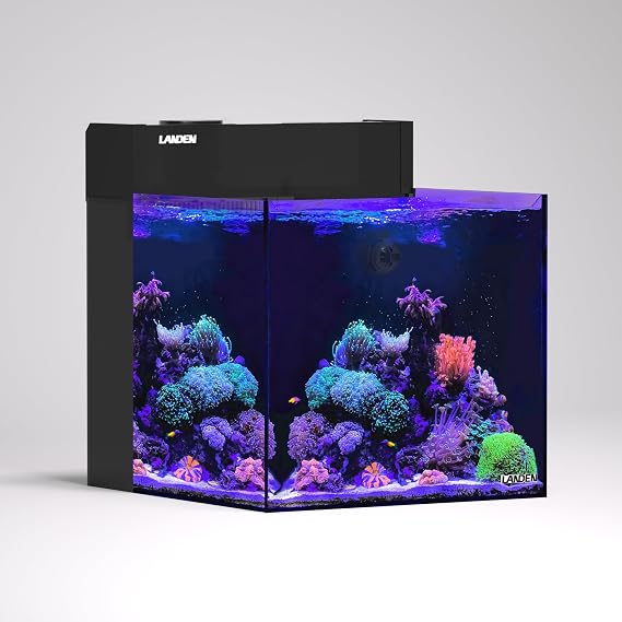 LANDEN EzCube 45K AIO 20 Gallon Reef Tank Kit, Skimmer + Pump Included