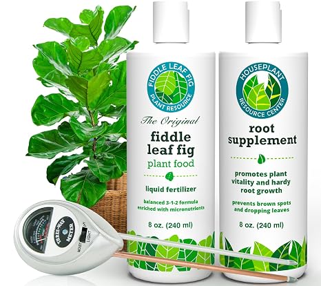 Fiddle Leaf Fig Essentials Bundle