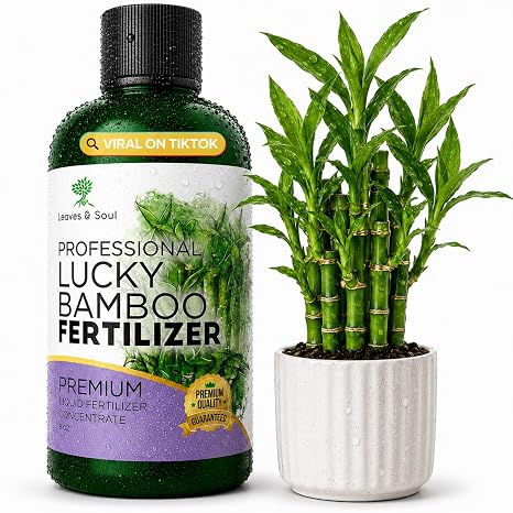 Professional Lucky Bamboo Fertilizer Liquid 3-1-2 Concentrate 8 oz, Premium Bamboo Plant Fertilizer Indoor Liquid Food for Indoor Plants, Made in USA