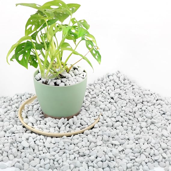 3 Quarts Chunky Perlite for Plant Soil Amendment for Potting Soil, Improves Drainage and Aeration for Soil, Ideal for Succulents, Orchid, Flower Plants (1/4 inch)