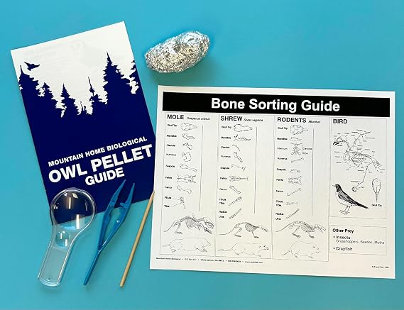XL Owl Pellet Explorer Kit