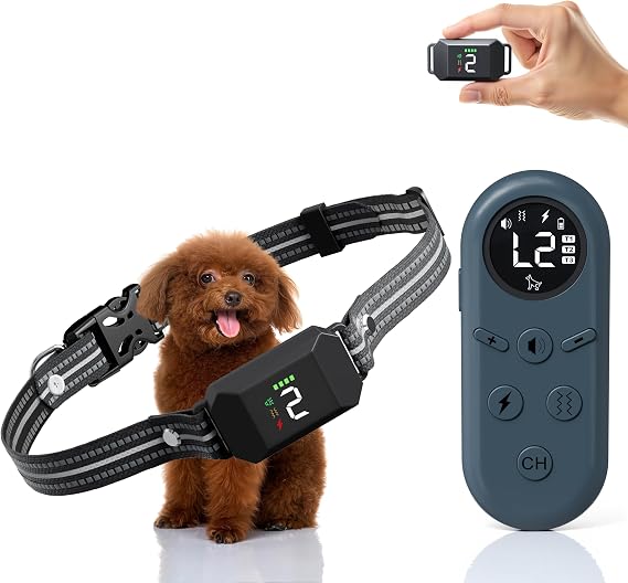 Shock Collar for Small Dogs, Dog Training Collar with Remote