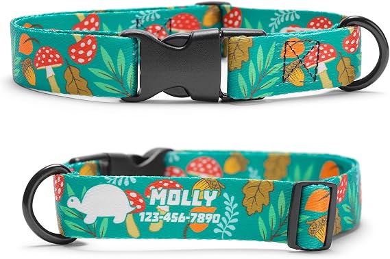 Mushroom Dog Collar Personalized Custom (Large)