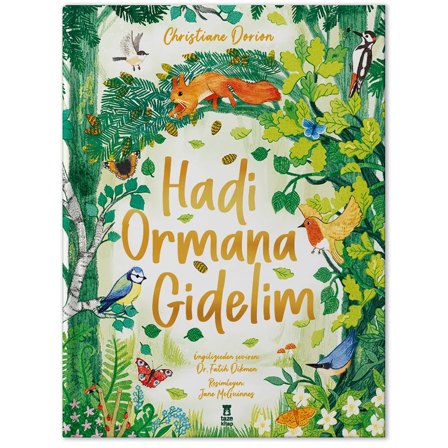 Lets Go to the Forest Hardcover Cover – May 1, 2020