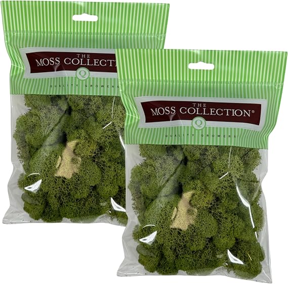 Quality Growers Reindeer Moss, Preserved Moss, Spring Green, Small 2-Pack