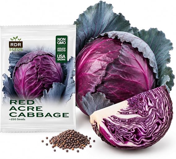 250 Red Cabbage Seeds for Planting - Heirloom, Red Acre