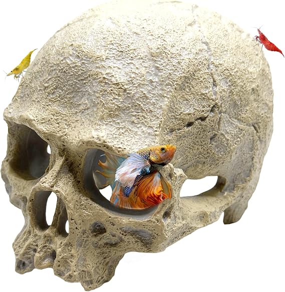 CTWPets Aquarium Human Skull Decor for Betta Fish, Sinking Hide Shrimp Hide