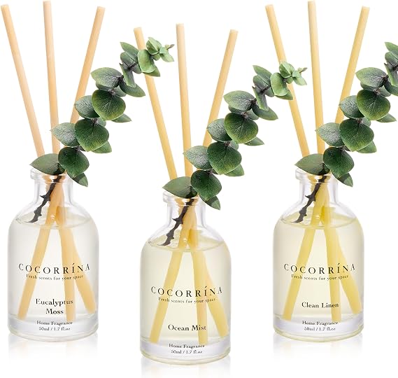 COCORRINA Reed Diffuser Set of 3 with Dried Eucalyptus for Home & Office
