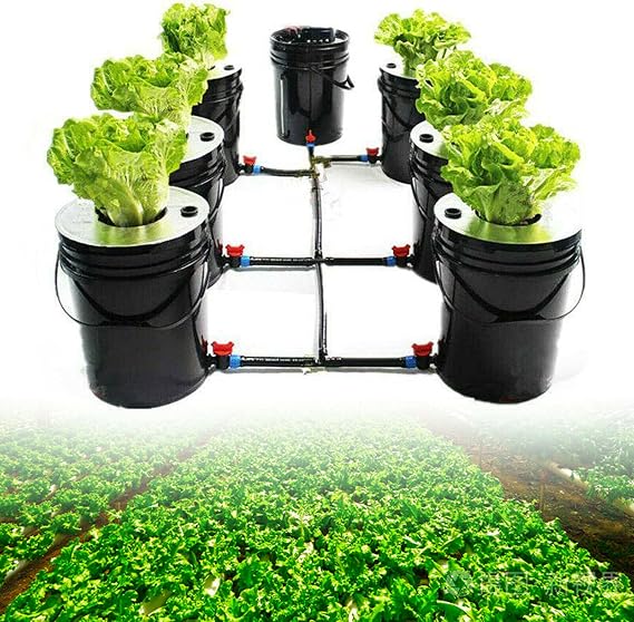 6 Pots Hydroponic Grow DWC System Deep Water Recirculating Culture Plants Growing System Kit 20L 5 Gallon